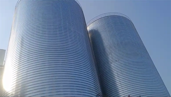 温县2座混凝土高架卷板仓